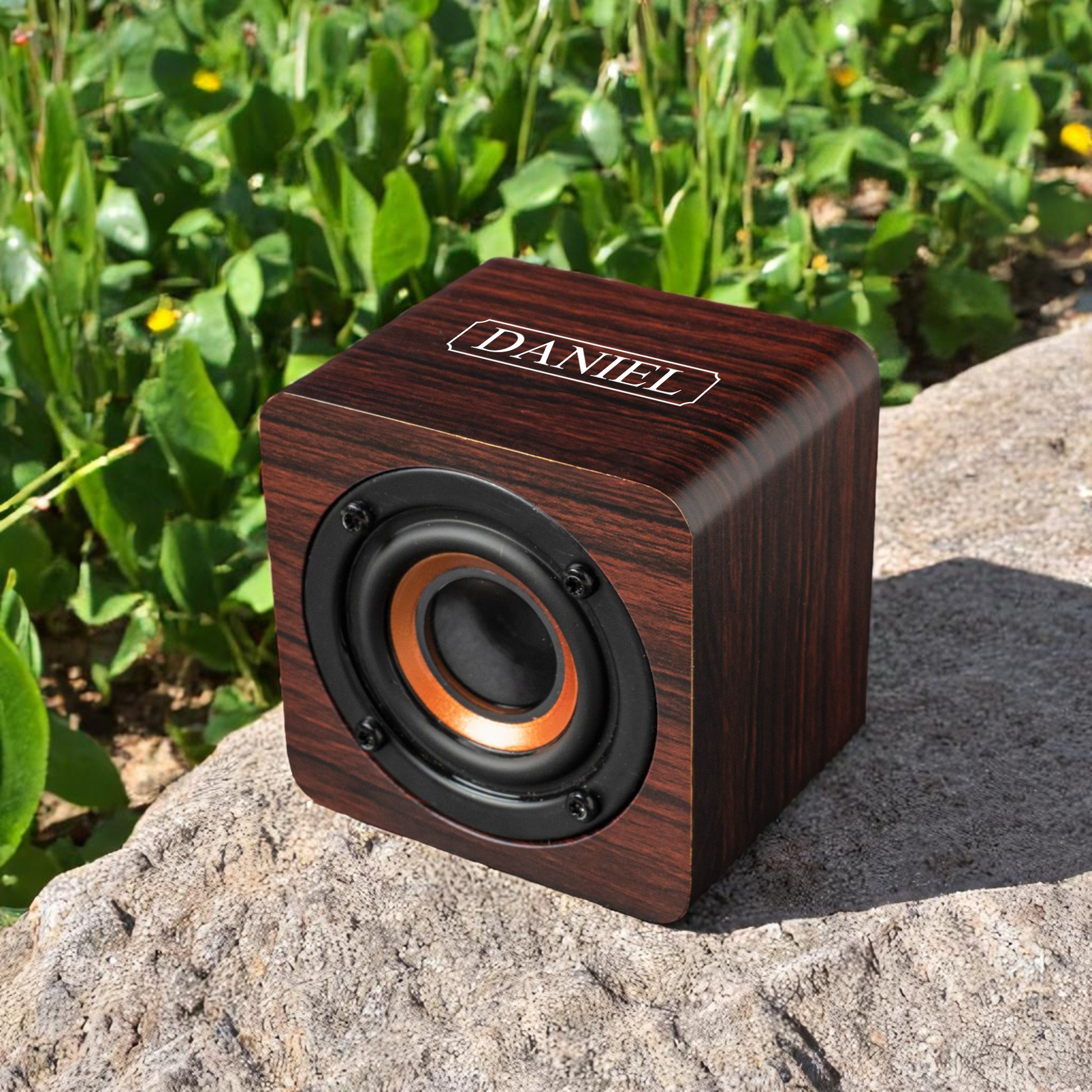 Mahogany Bluetooth speaker design preview, groomsman proposal gift