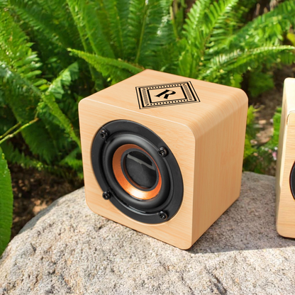 Custom Bluetooth Speakers - Reserve Collection